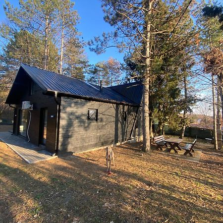Kuca Za Odmor Vrdnik Villa ภายนอก รูปภาพ