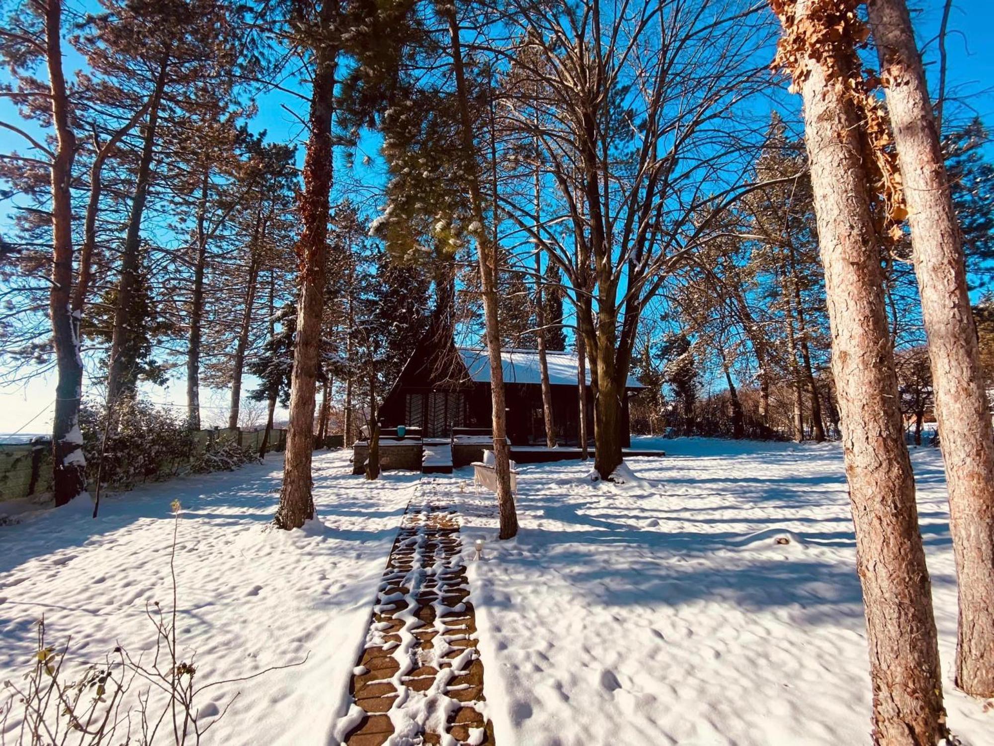 Kuca Za Odmor Vrdnik Villa ภายนอก รูปภาพ