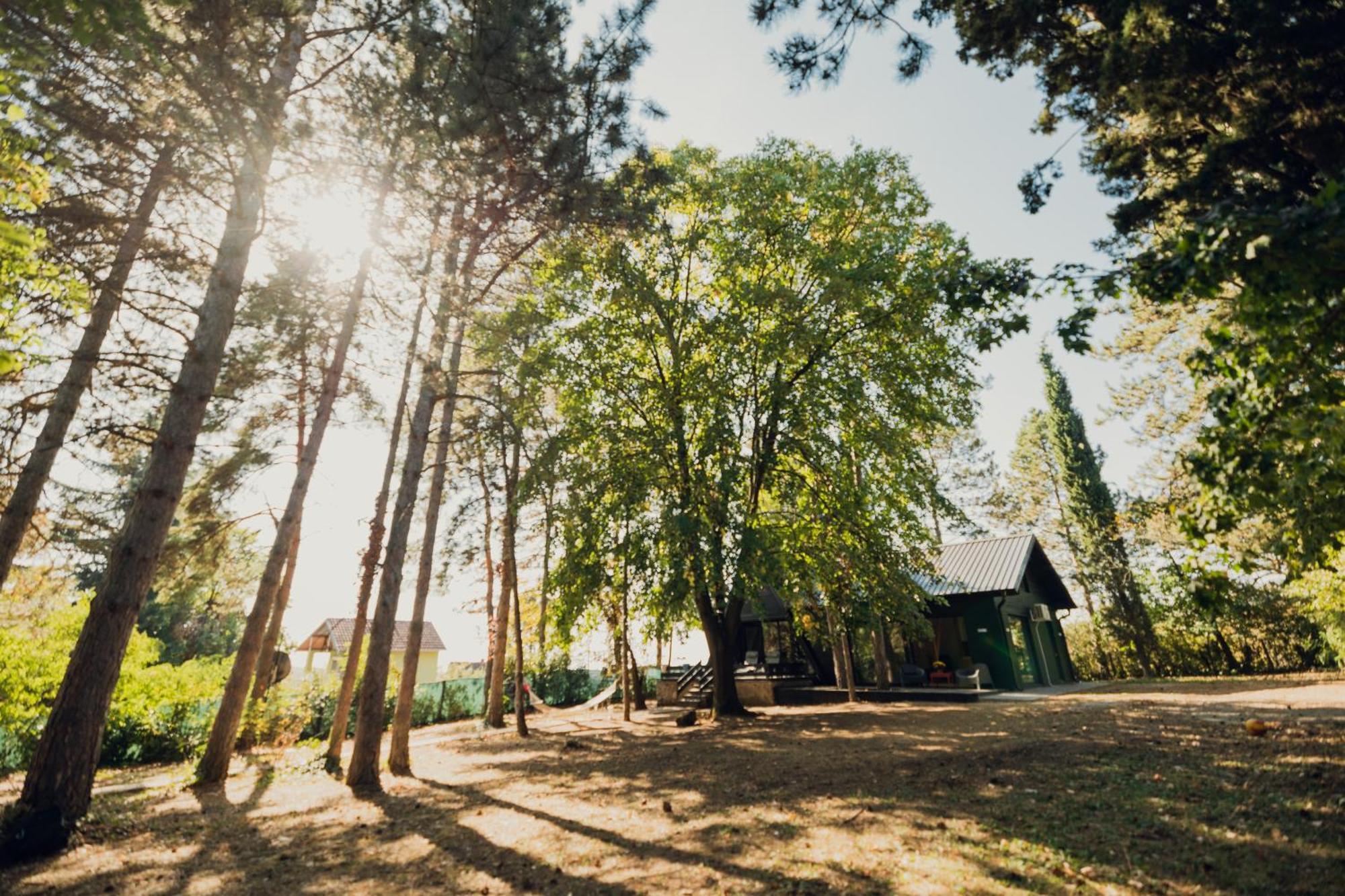 Kuca Za Odmor Vrdnik Villa ภายนอก รูปภาพ