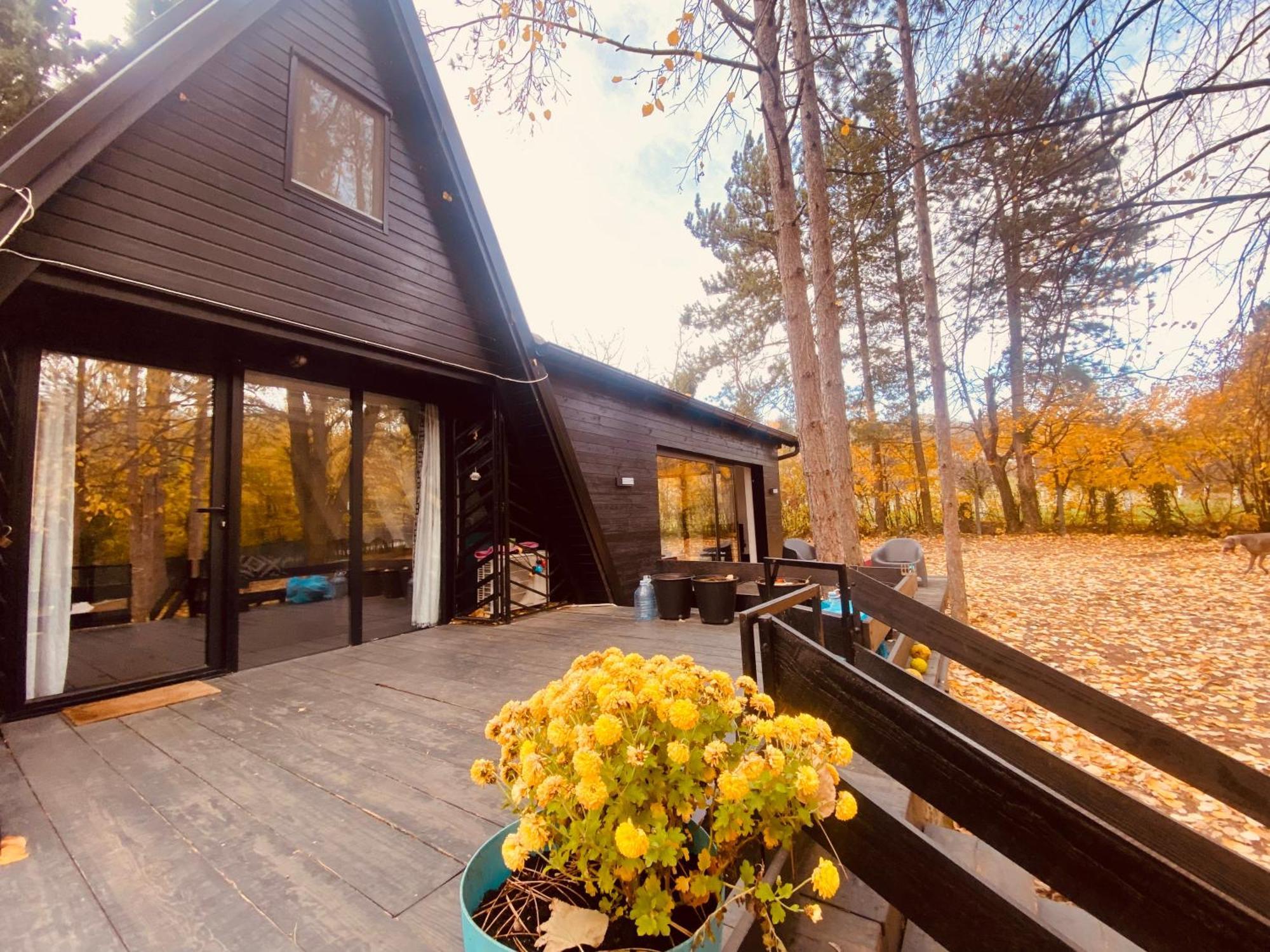 Kuca Za Odmor Vrdnik Villa ภายนอก รูปภาพ