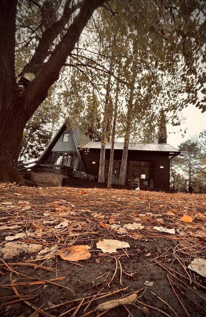 Kuca Za Odmor Vrdnik Villa ภายนอก รูปภาพ